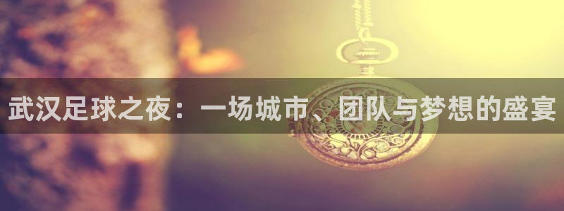  武汉足球之夜：一场城市、团队与梦想的盛宴