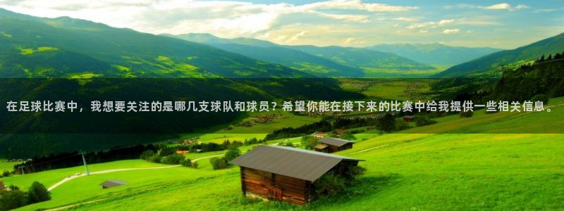 在足球比赛中，我想要关注的是哪几支球队和球员？希望你能在接下
