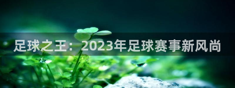 足球之王：2023年足球赛事新风尚