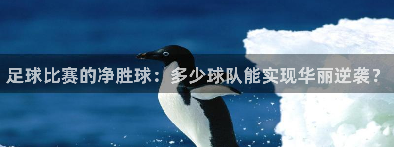  足球比赛的净胜球：多少球队能实现华丽逆袭？
