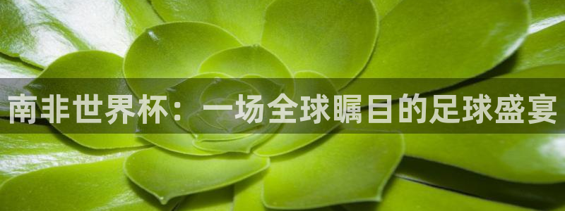  南非世界杯：一场全球瞩目的足球盛宴