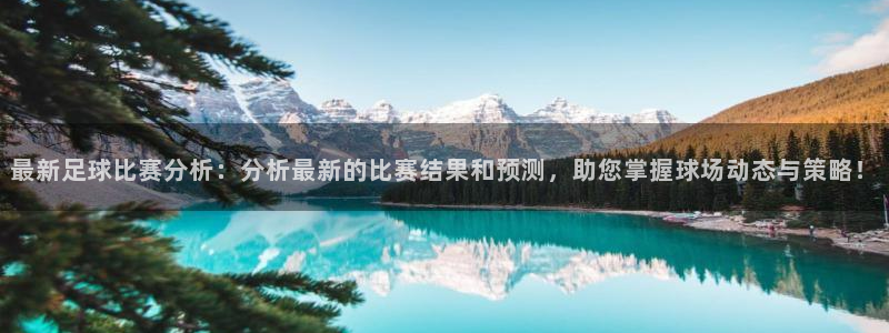 最新足球比赛分析：分析最新的比赛结果