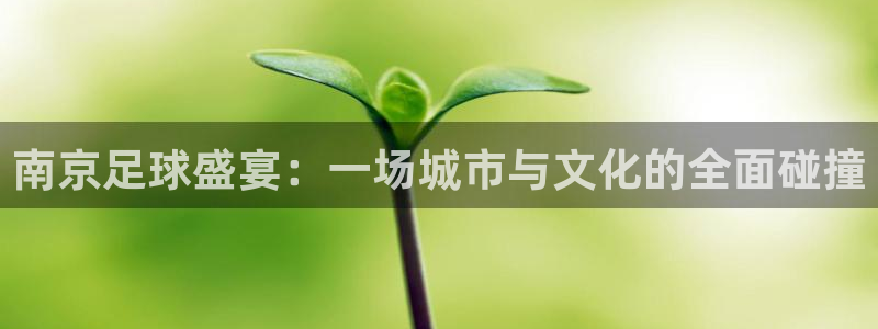 南京足球盛宴：一场城市与文化的全面碰