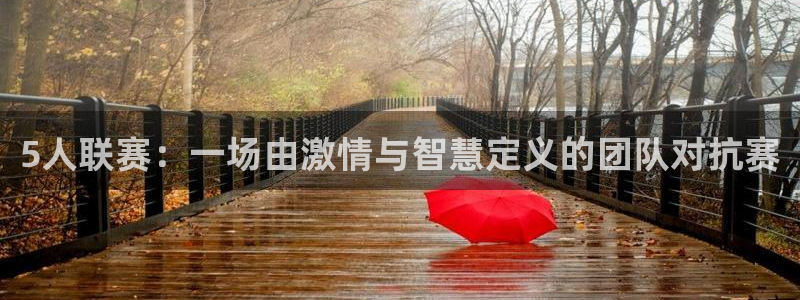  5人联赛：一场由激情与智慧定义的团队对抗赛