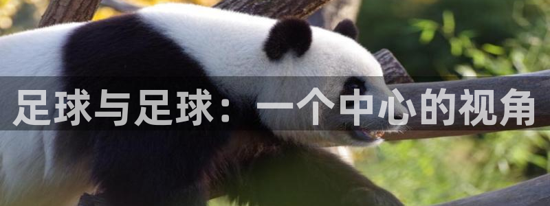 足球与足球：一个中心的视角