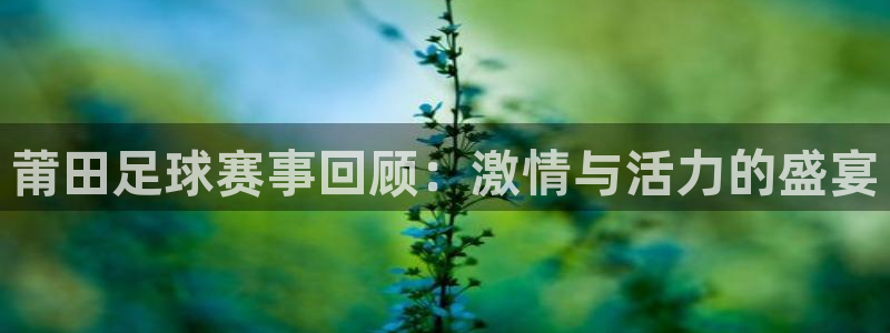  莆田足球赛事回顾：激情与活力的盛宴