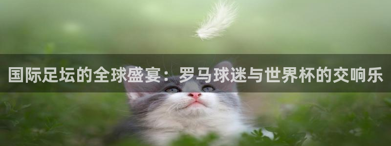  国际足坛的全球盛宴：罗马球迷与世界杯的交响乐