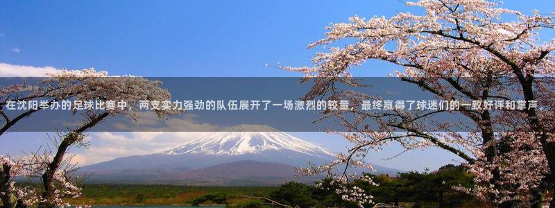  在沈阳举办的足球比赛中，两支实力强劲的队伍展开了一场激烈的较