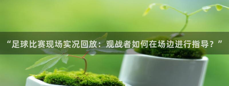  “足球比赛现场实况回放：观战者如何在场边进行指导？”
