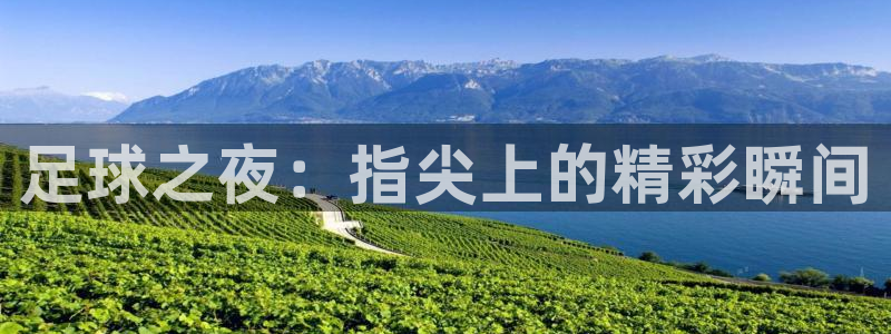  足球之夜：指尖上的精彩瞬间
