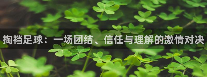 掏裆足球：一场团结、信任与理解的激情对决