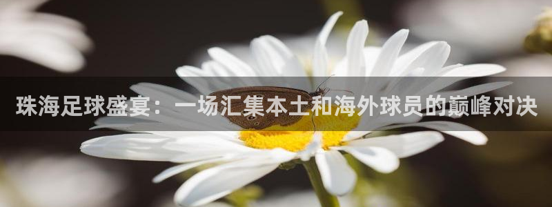 珠海足球盛宴：一场汇集本土和海外球员的巅峰对决