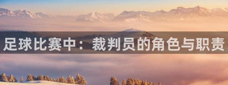 足球比赛中：裁判员的角色与职责