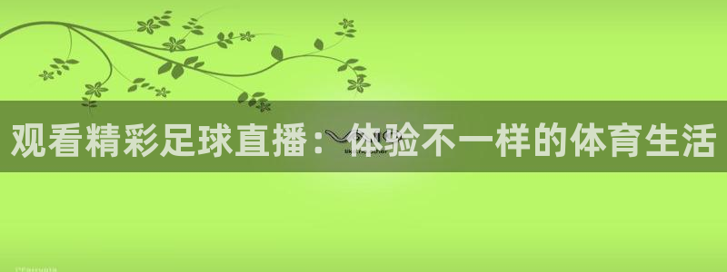 观看精彩足球直播：体验不一样的体育生活