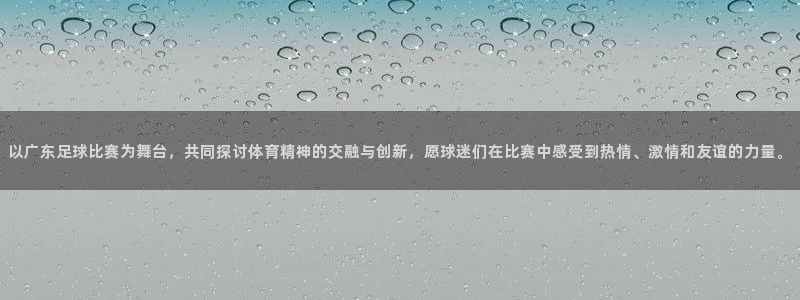  以广东足球比赛为舞台，共同探讨体育精神的交融与创新，愿球迷们