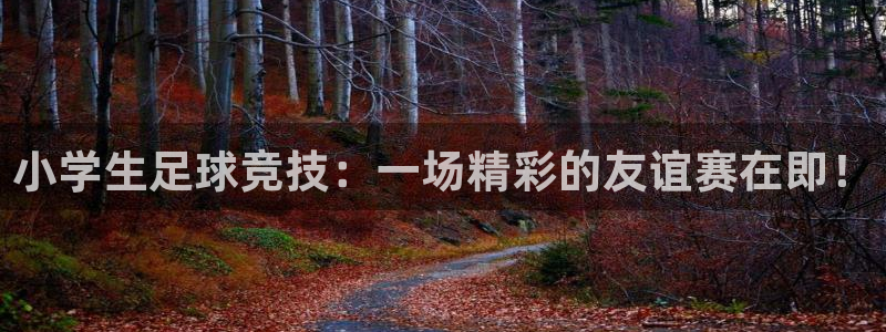 小学生足球竞技：一场精彩的友谊赛在即！