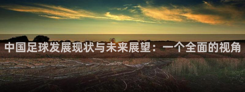 中国足球发展现状与未来展望：一个全面