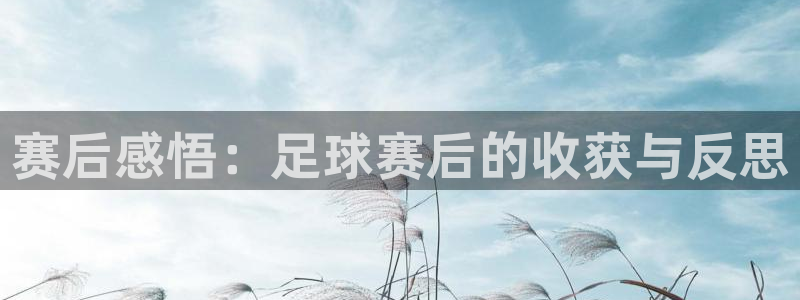 赛后感悟：足球赛后的收获与反思