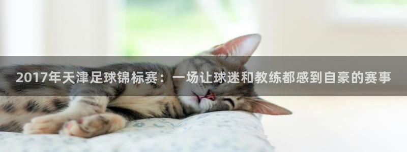 2017年天津足球锦标赛：一场让球迷