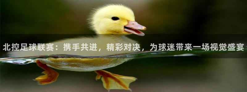 北控足球联赛：携手共进，精彩对决，为