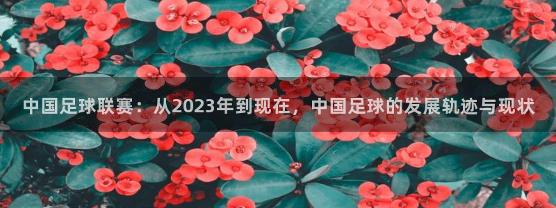 中国足球联赛：从2023年到现在，中