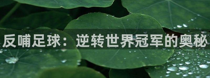 反哺足球：逆转世界冠军的奥秘
