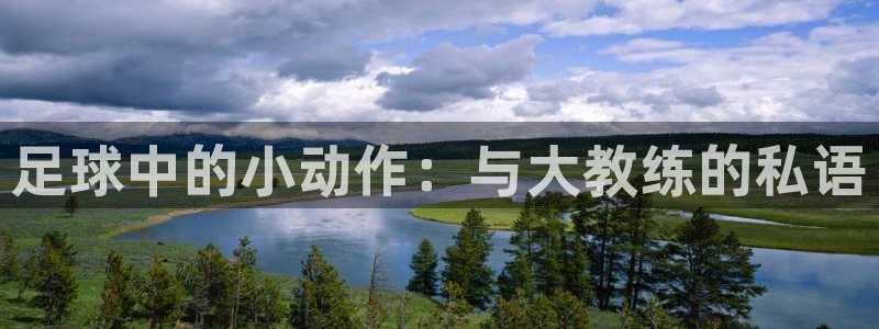 足球中的小动作：与大教练的私语