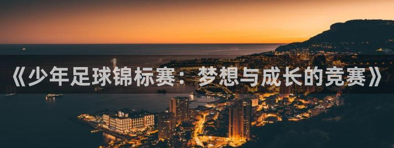 《少年足球锦标赛：梦想与成长的竞赛》