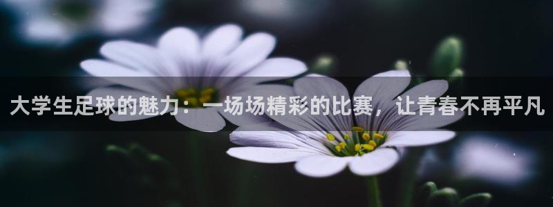 大学生足球的魅力：一场场精彩的比赛，