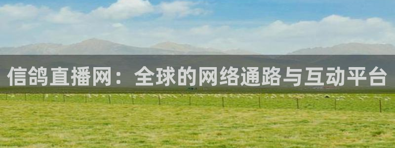 搜球吧体育直播：信鸽直播网：全球的网络通路与互动平台