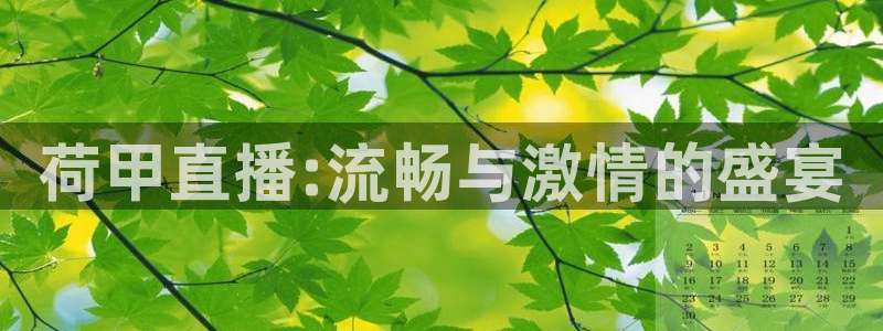搜球吧直播 在线观看：荷甲直播:流畅与激情的盛宴